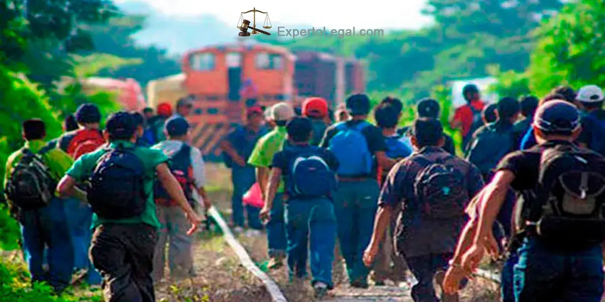 Derecho de inmigración Derecho de inmigración